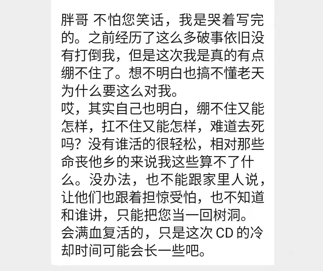 今天，给你们讲个迪拜的狗推逃亡的故事吧（下）