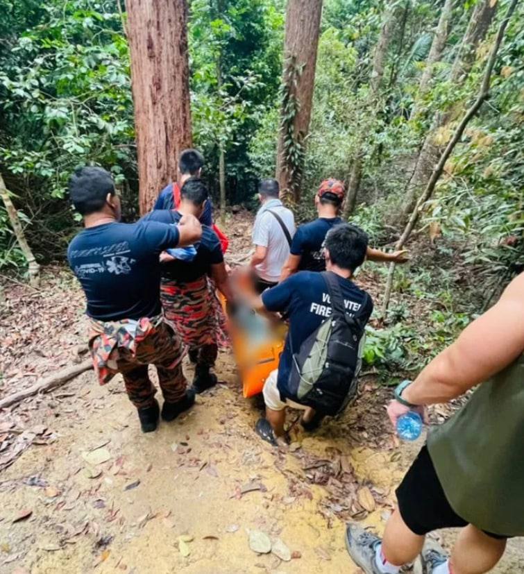 年初六植物园登山晕倒 五旬华男急救后不治