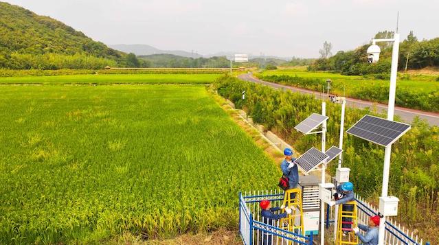 75年增长5.1倍，粮食生产经历了哪些“跨越”|数读75年