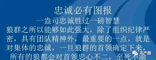 跳楼、抢劫、枪击、绑架、毒品、性犯罪……被骗进“网投”公司的悲惨人生