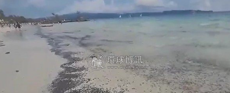 长滩岛白沙滩海域出现上百只水母 当局禁止民众下水游玩