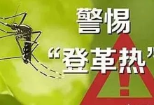 注意！柬埔寨今年已超1300人感染，3人死亡。除了新冠，更要预防这个传染病！