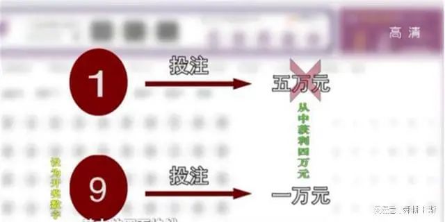 【案例】湖南一中专毕业的电工自学编程，搭建彩票诈骗网站，两年获利1.6亿