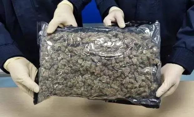 皮夹克里裹大麻奶粉罐内藏金币