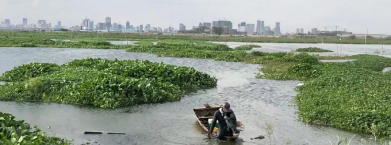 柬警方：中国男子尸体从桑园区被运到棉芷区湖里弃尸