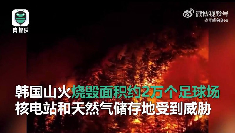 韩国山火烧毁面积约2万个足球场 核电站和天然气储存地受到威胁