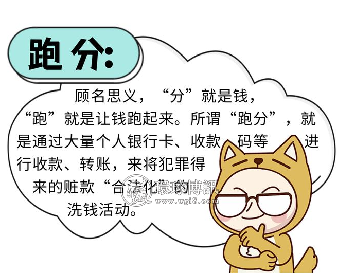 “跑分”“水房”“猫池”……这些黑话大揭秘