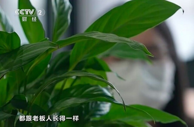 央视315曝光AI伪造变脸变声诈骗