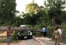 暴风雨持续侵袭柬埔寨：4人遭雷劈身亡，大树倾倒砸中客车！