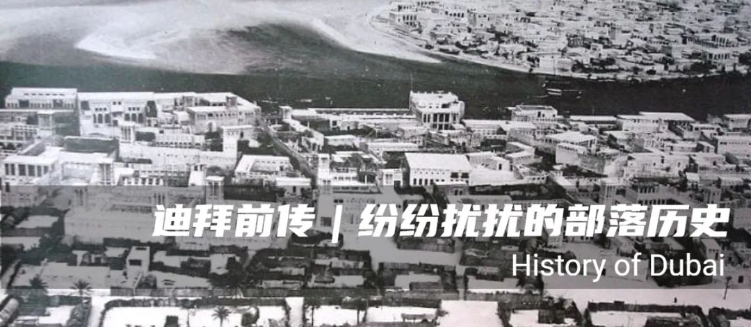 从部落之争到海湾强国 | 阿联酋总统家族近代史