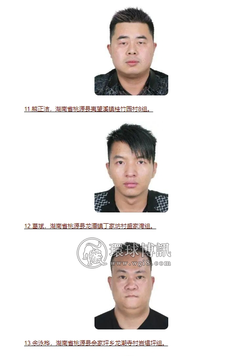 湖南桃源县对25名涉电诈犯罪嫌疑人发出惩戒令