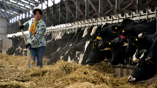 农业农村部：在当前肉牛养殖亏损时期，及时引导养殖场户合理调整养殖规模