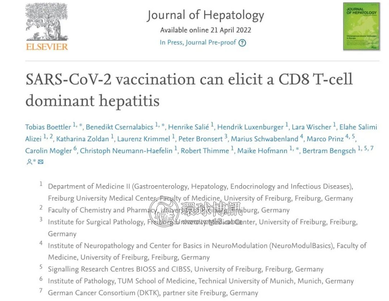 德国最新临床研究：辉瑞mRNA疫苗可能引发自身免疫性肝炎