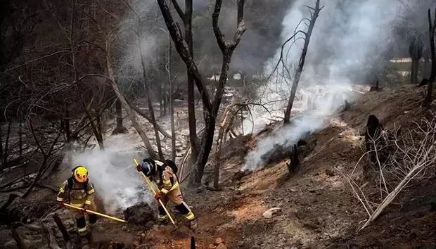 这国一场大火致137死嫌犯竟是消防员与林业官