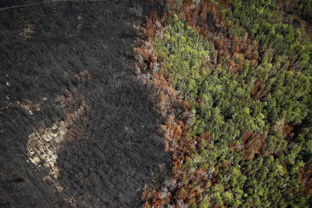 加拿大山火烧毁面积达1000万公顷，超过此前最悲观预测