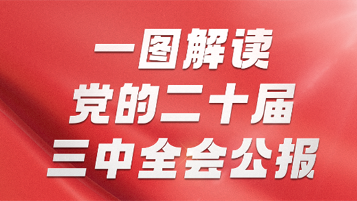 一图解读党的二十届三中全会公报