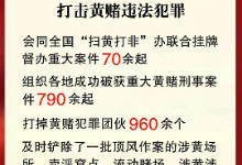 公安机关在“百日行动”中重拳打击黄赌违法犯罪