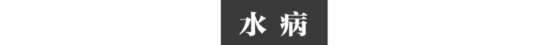 我在缅北“防疫”28年，与诈骗集团抢人