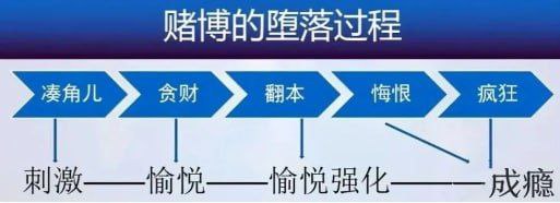 网赌没有稳赚不赔，只有“输”而不漏现在让我们层层揭开赌博组织的“羊皮”