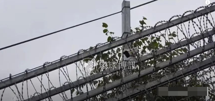 中越边界建起高墙，拉上铁丝网，仍有不法分子偷渡，4名中国男子在岘港被抓