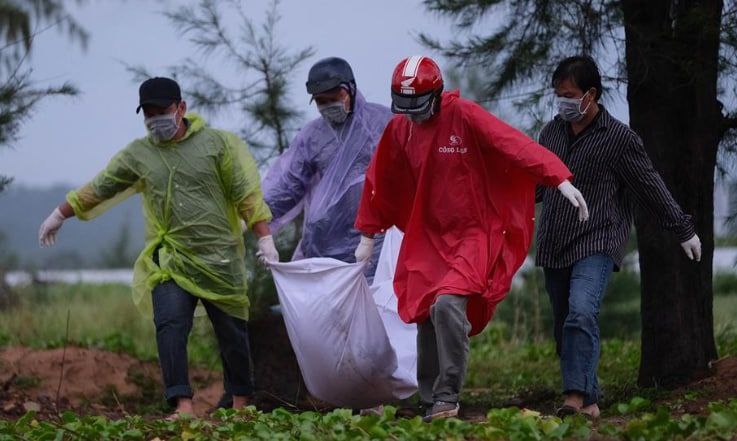 西港沉船案8名失踪者的尸体在越南被发现，该“偷渡船”11名嫌疑人被确定