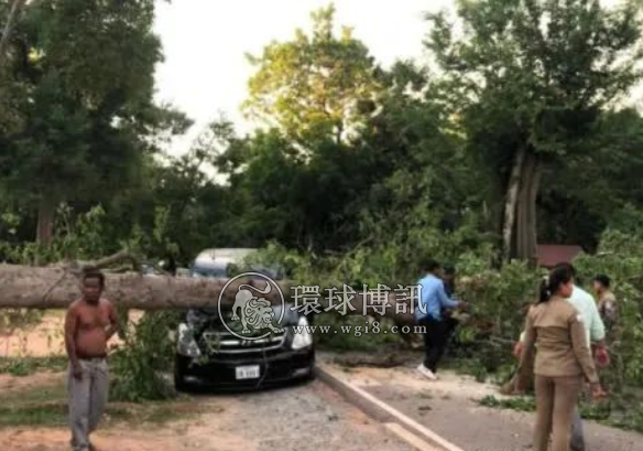 暴风雨持续侵袭柬埔寨：4人遭雷劈身亡，大树倾倒砸中客车！