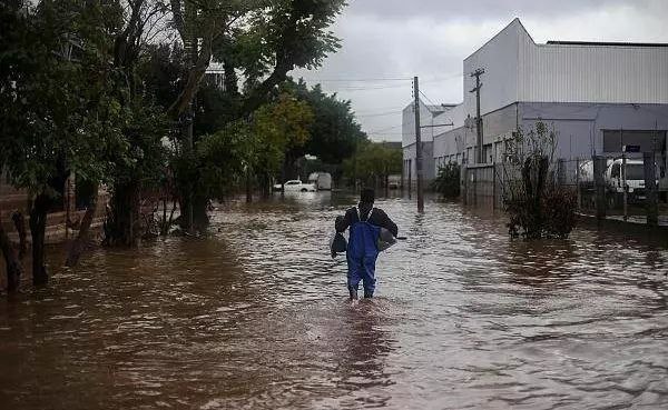 暴雨灾害致水稻减产巴西计划进口100万吨大米