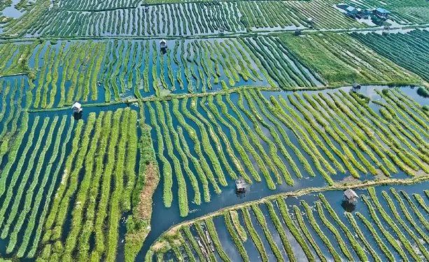 巴基斯坦一周来暴雨灾害已造成至少87人死亡