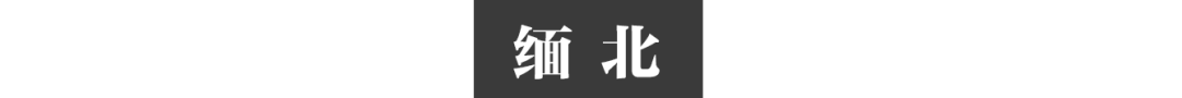 我在缅北“防疫”28年，与诈骗集团抢人