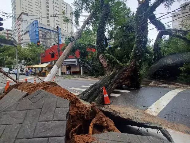 巴西圣保罗州暴雨导致2人死亡 多个航班被取消