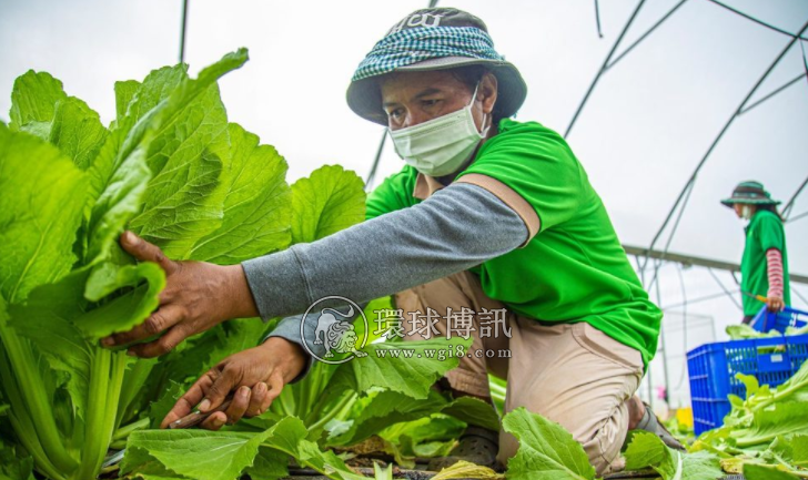 柬埔寨政府拟定新激励措施 鼓励发行绿色证券和债券