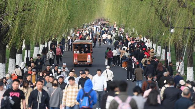 四座新一线城市常住人口增量领跑，比亚迪带动效应明显！