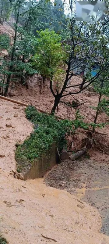 法国东南部遭遇强降雨已致5人丧生