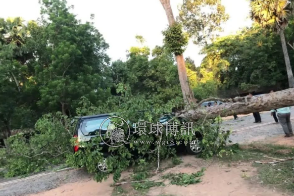 暴风雨持续侵袭柬埔寨：4人遭雷劈身亡，大树倾倒砸中客车！