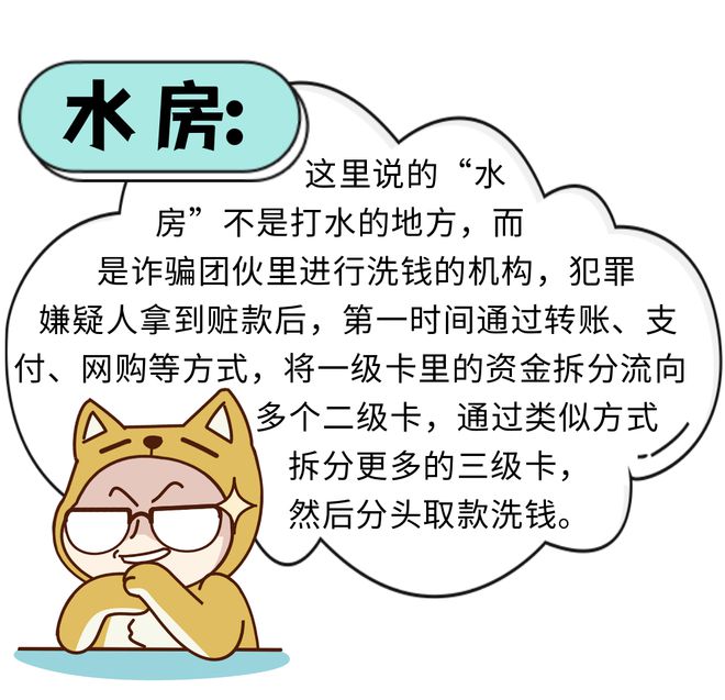 “跑分”“水房”“猫池”……这些黑话大揭秘