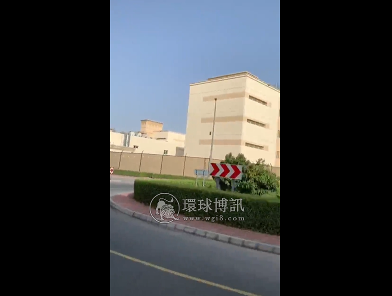 阿联酋皇室介入拯救被虐待的狗？何时解救被诈骗园区虐待的人？