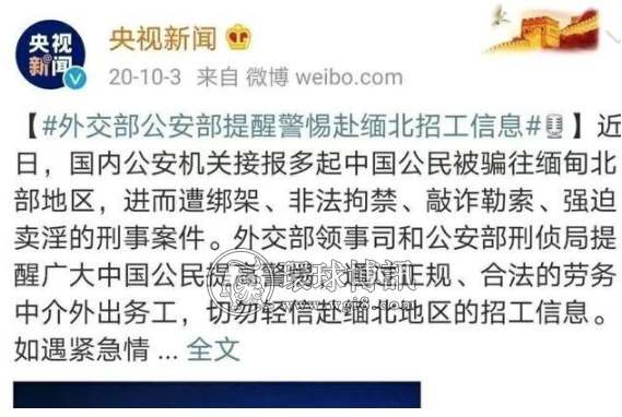 阿强去了趟缅北，把电信诈骗给一锅端了