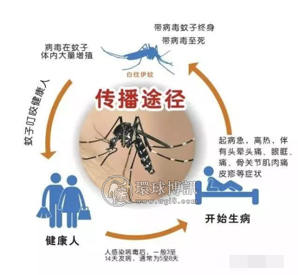 注意！柬埔寨今年已超1300人感染，3人死亡。除了新冠，更要预防这个传染病！