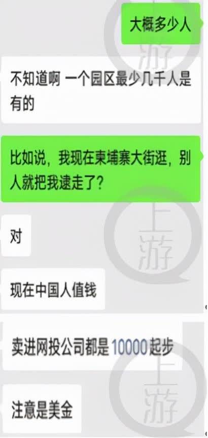 在柬埔寨重庆人：中国人成“行走的黄金” 不听话都死了