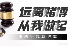 办理跨境赌博犯罪案件若干问题的意见